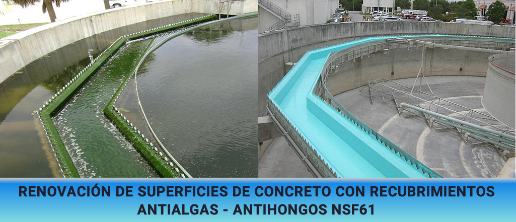 Renovación de Superficies de Concreto con Recubrimientos Antialgas y Antihongos